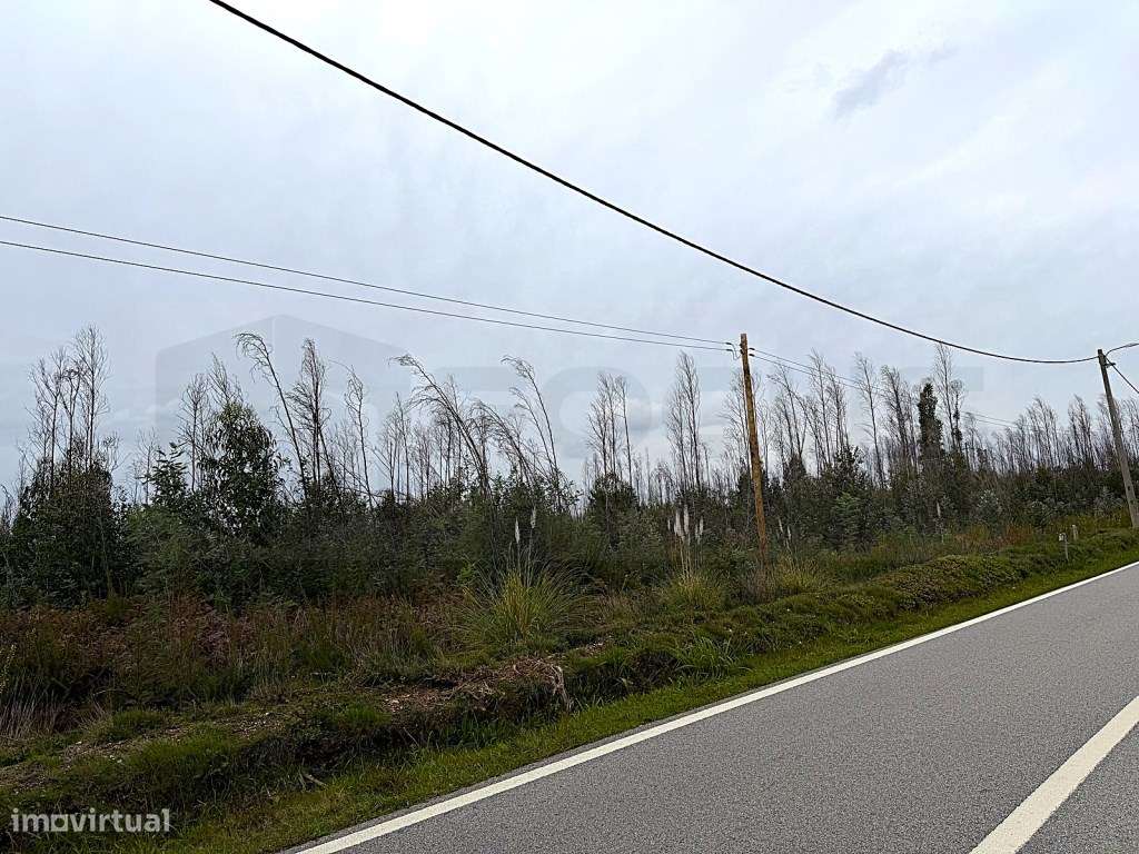 Terreno com 3 frentes para venda Albergaria - a - Velha - Grande imagem: 4/21