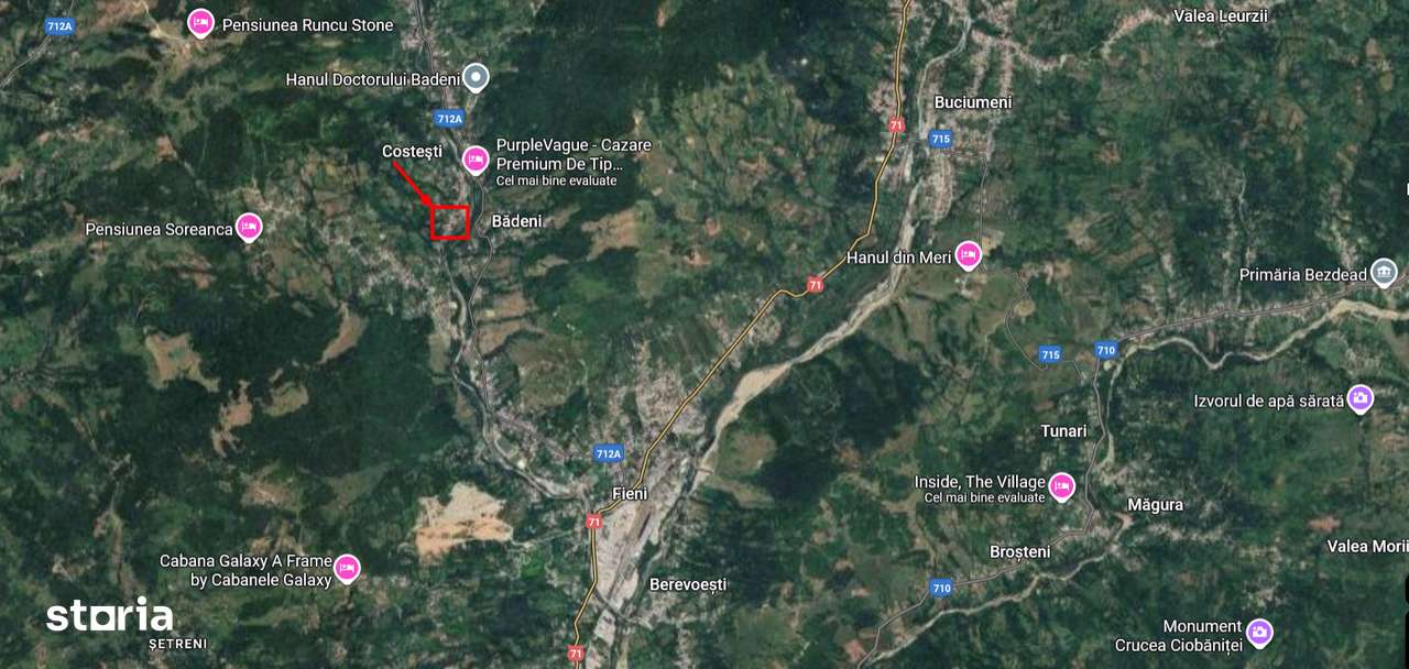 Teren intravilan 3.788 mp, utilitati, Fieni-Costești, deschidere 39 m - Imagine principală: 5/10