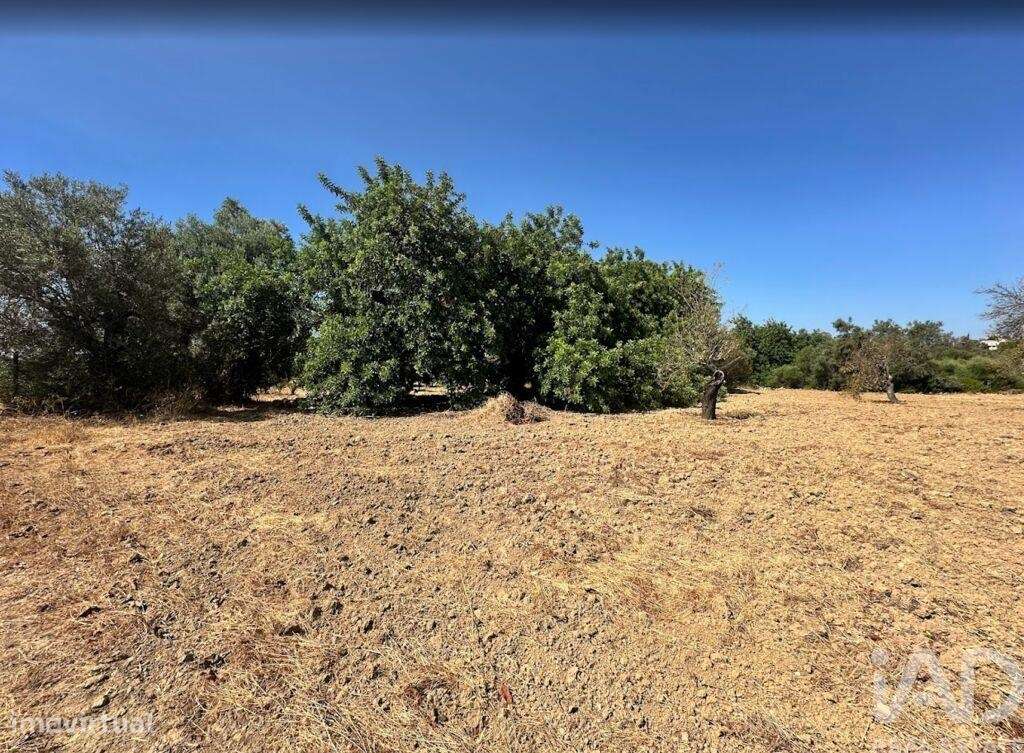 Terreno em Luz de Tavira e Santo Estêvão de 3700,00 m2 - Grande imagem: 5/10