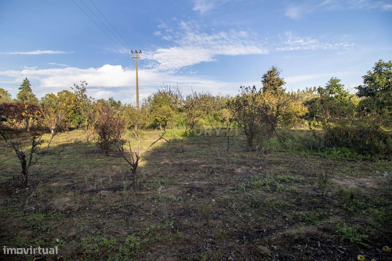 Terreno Rústico em Quinta do Anjo, Palmela - 11.800m2 - Grande imagem: 4/21