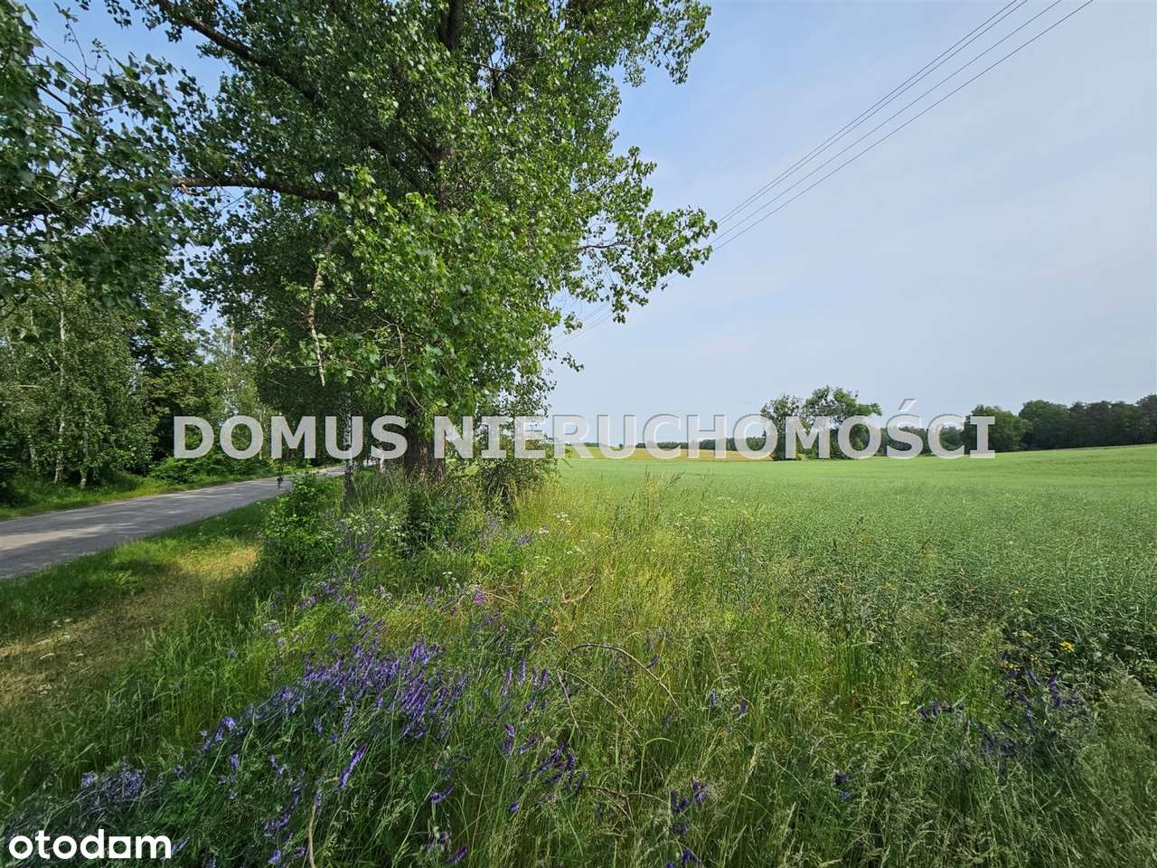 Działki na sprzedaż Gałkówek Parcela k/Koluszek.-5