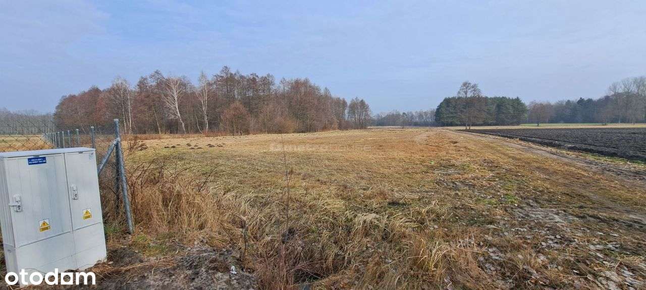 Działka z własnym stawem w Madaje Nowe