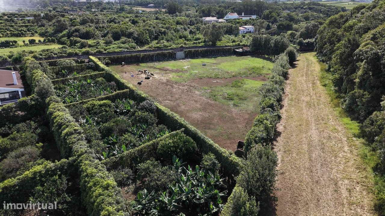 Terreno rústico com 6.080 m2 e vista para o mar e para a serra | Areia-10