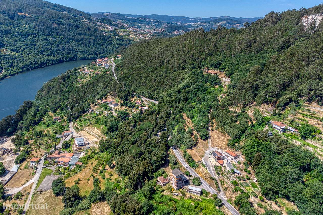 QUINTA NO VALE DO DOURO - 2 CASAS EM PEDRA, 11 HECTARES DE TERRENO-16