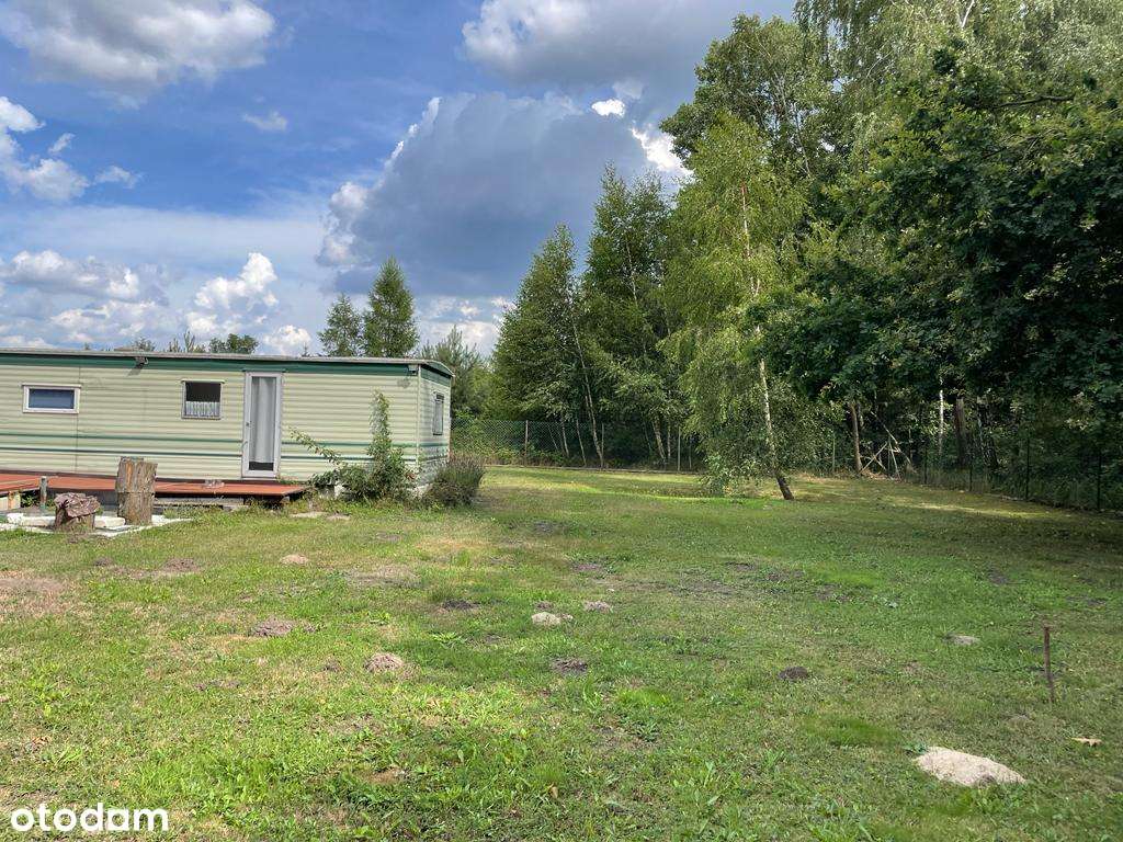 Działka rekreacyjna 1460 Feliksów Uzbrojona Las Cisza Duży Ogród MPZ - Pełny obrazek: 4/8