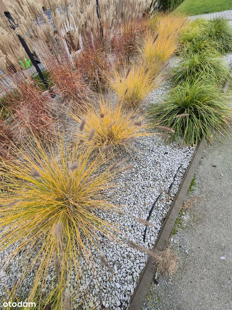 Komfortowy apartament ul Poleska-10