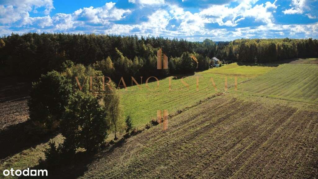 Piękna działka 2693 m2 w Ryczołku | Wydane WZ - Pełny obrazek: 4/7