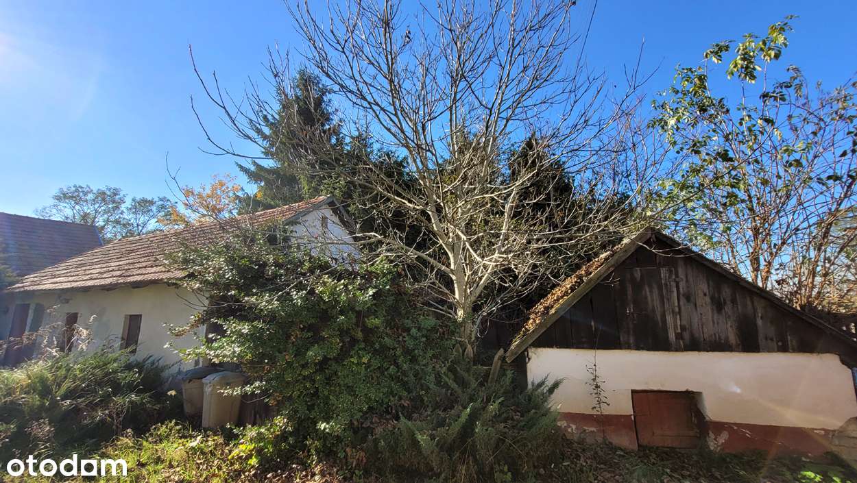 Dom 80 m2 na działce 2677 m2 Skrzypiów/Pińczów-17