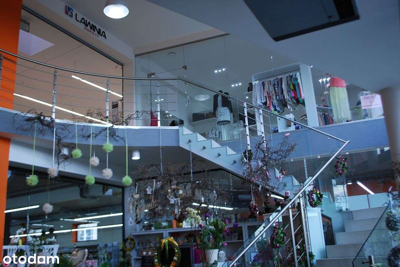 Lokal użytkowy, 500 m², Nowa Wieś - Pełny obrazek: 5/6