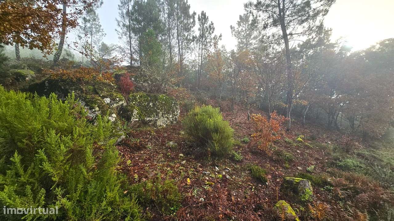 Terreno Para Construção  Venda em Bodiosa,Viseu - Grande imagem: 4/4
