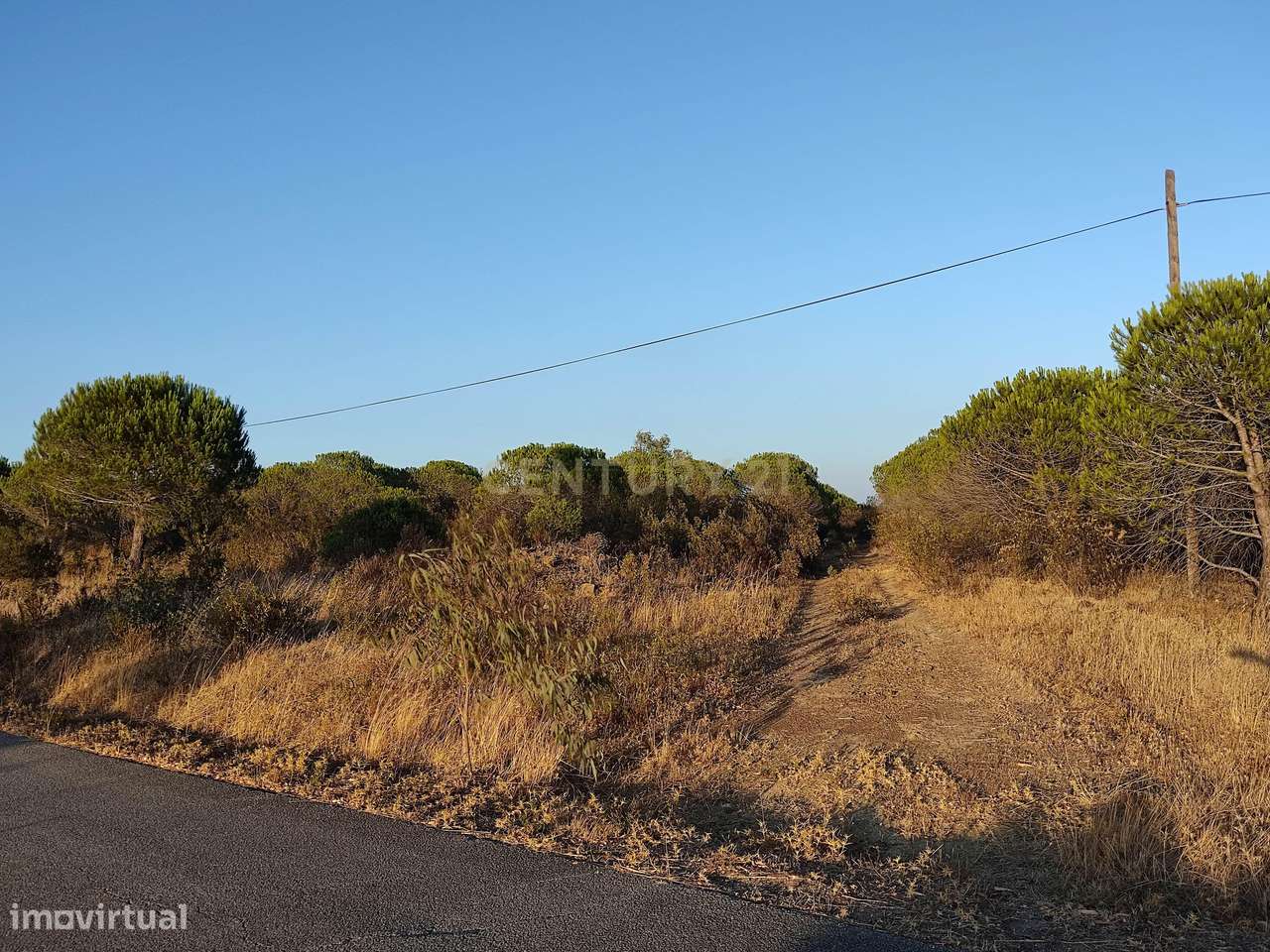 Terreno de 23 Hectares, junto à Barragem da Bravura. - Grande imagem: 4/7