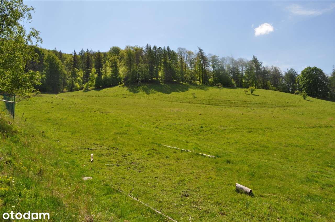 Góry Sowie, Kamionki działka budowlana 22,3 ara. - Pełny obrazek: 5/5