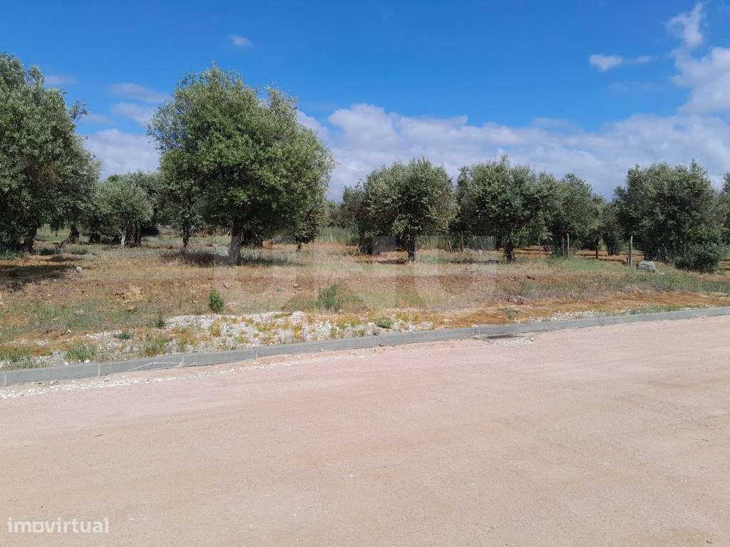 Terreno urbanizável Alandroal-3