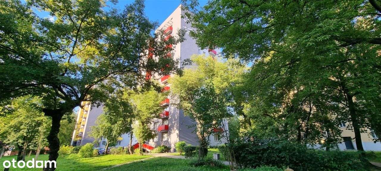 Dobra lokalizacja z windą! - Pełny obrazek: 2/11