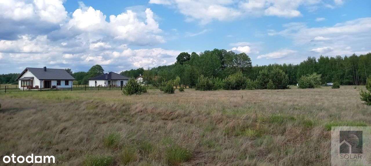 Wyjątkowe, 18km od Bydgoszczy, lokata kapitału! - Pełny obrazek: 2/6