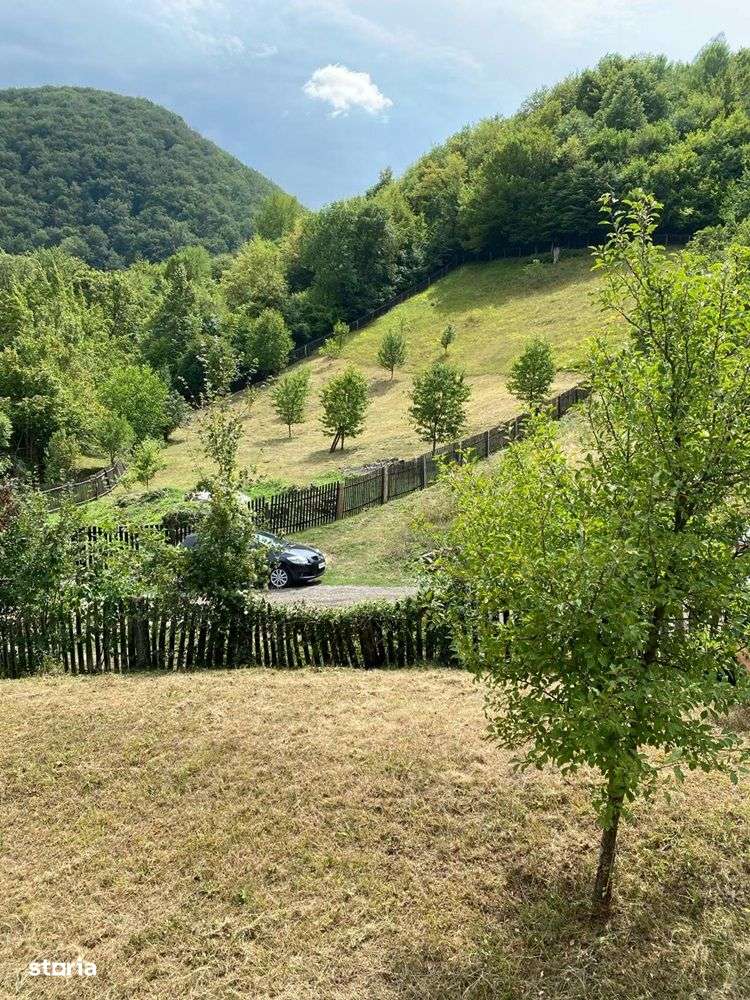 Vând teren intravilan 2662mp în Govăjdia, la 17 km de Hunedoara - Imagine principală: 5/13