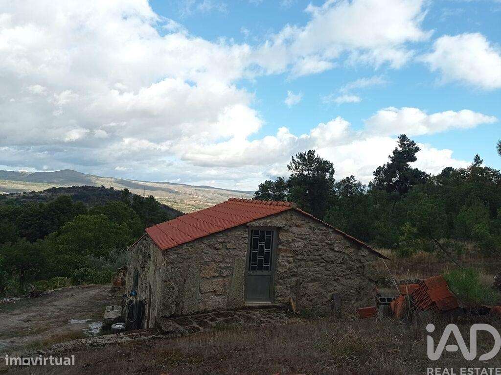 Terreno Agrícola em Sendim-1