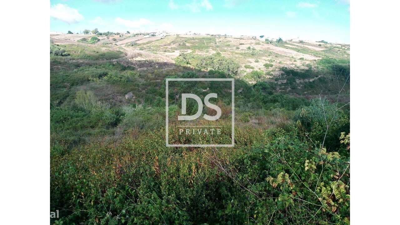 Terreno Rústico UDF de São João das Lampas e Terrugem - Grande imagem: 5/10