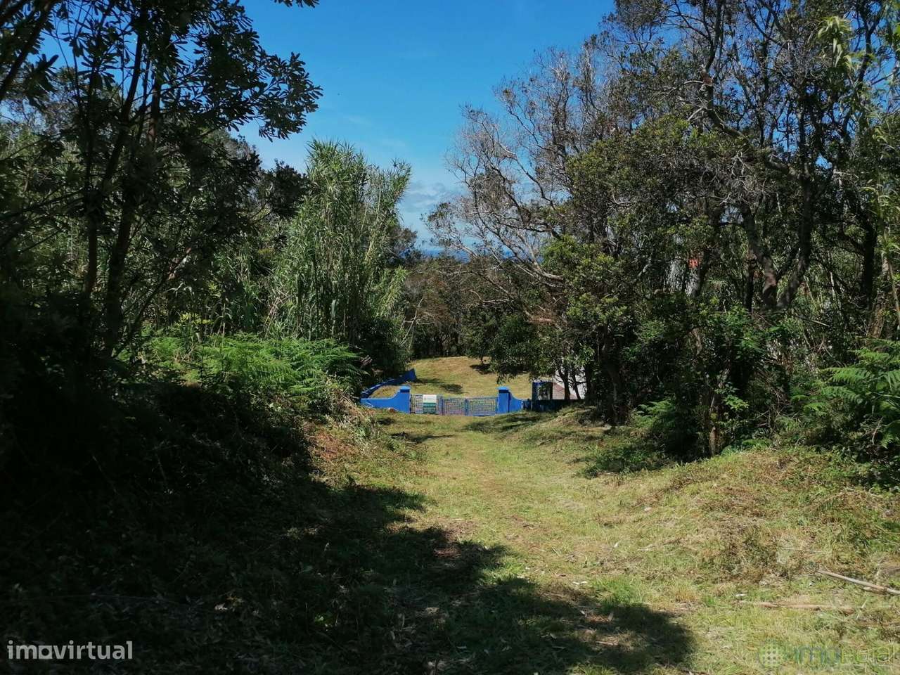 Moradia na canada das adegas no Capelo-19