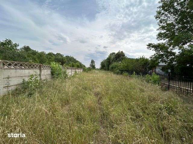 Snagov Deschidere la Lac Ciolpani Complex Izvorani teren de vanzare - Imagine principală: 4/10