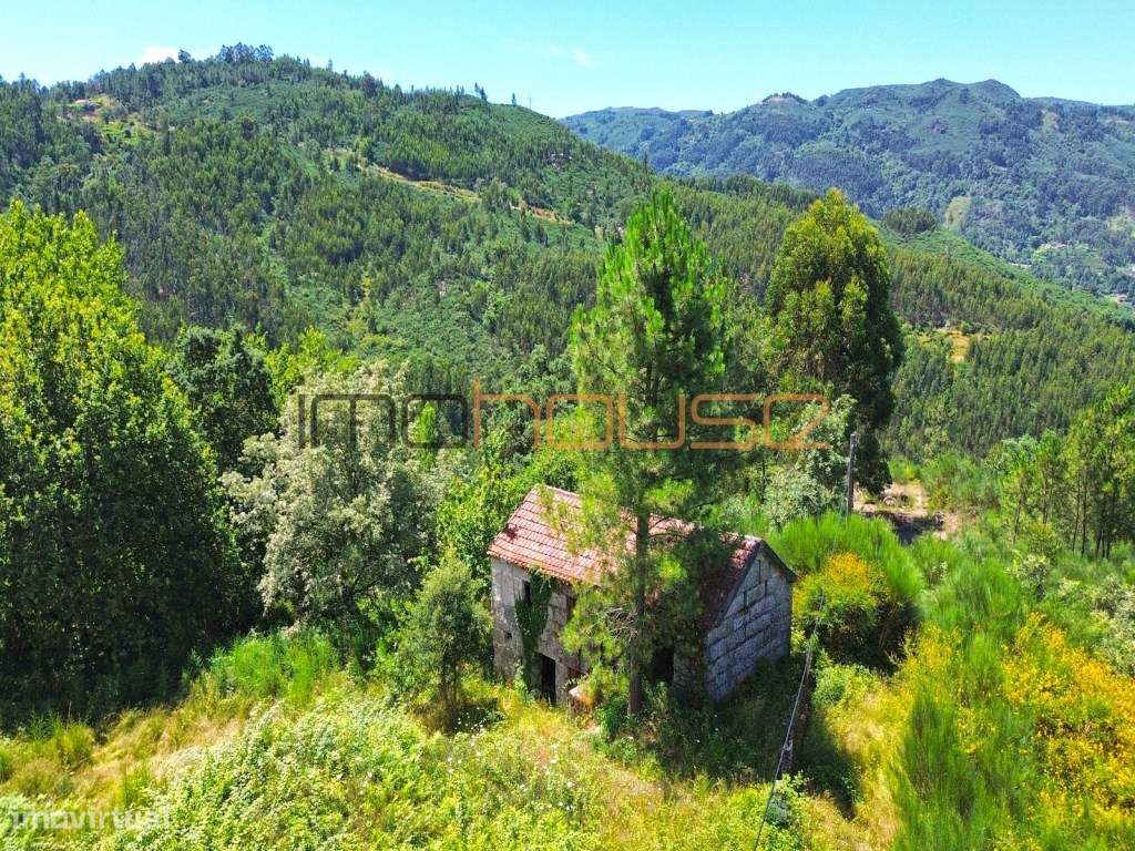 Quinta isolada - Amarante-30