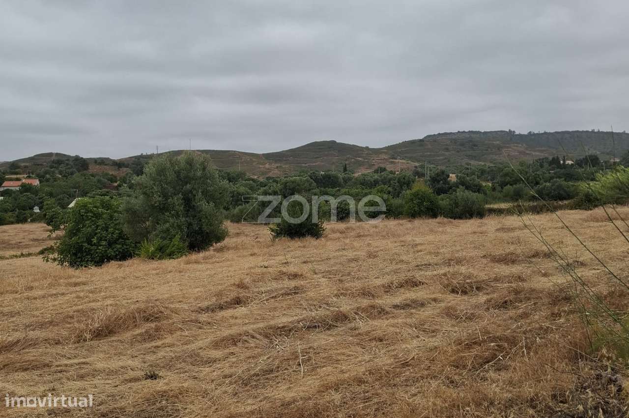 Terreno Rústico c/ Furo, c/ 18.360m2 em Messines - Grande imagem: 3/24