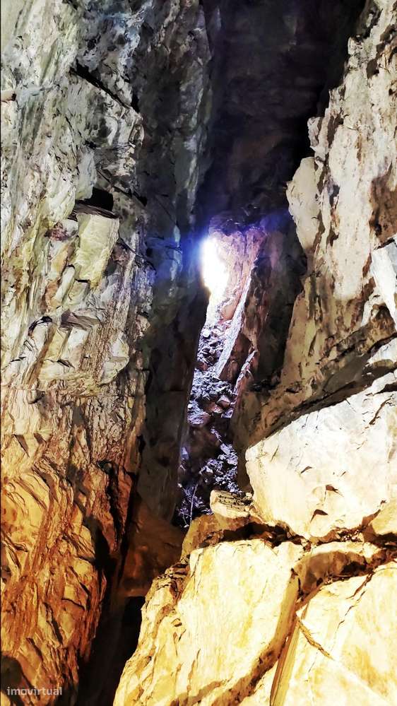 Quinta 5.3 ha, Covilhã-51