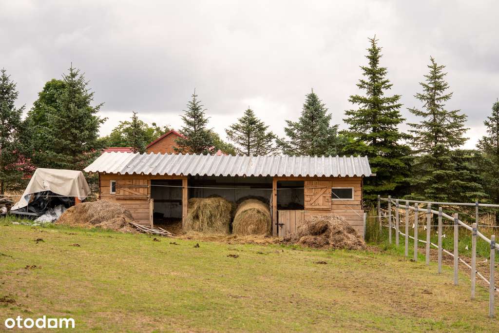 Stadnina koni I 2,67ha I Celejów I Kazimierz Dolny-2