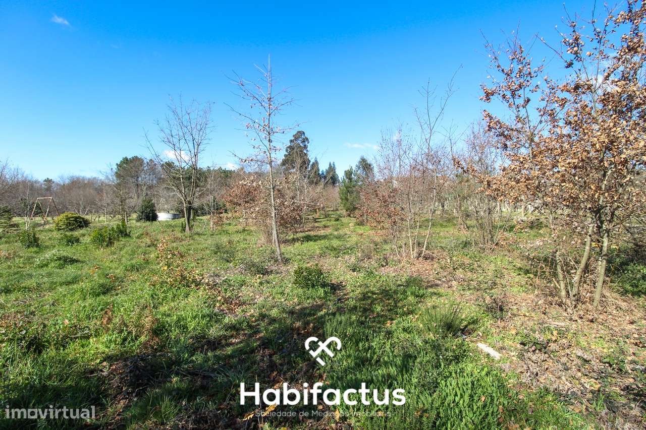 Terreno em Mangualde - Grande imagem: 5/14