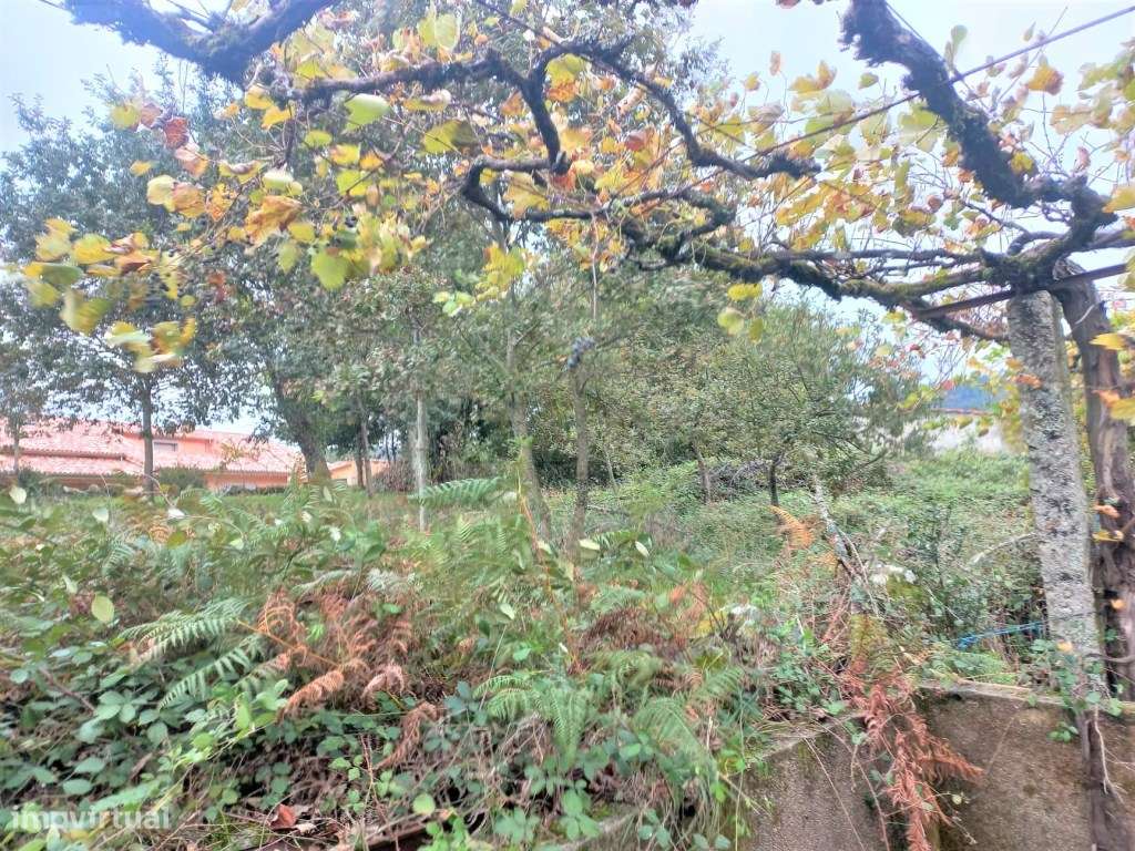 Moradia T3 em Bico-8