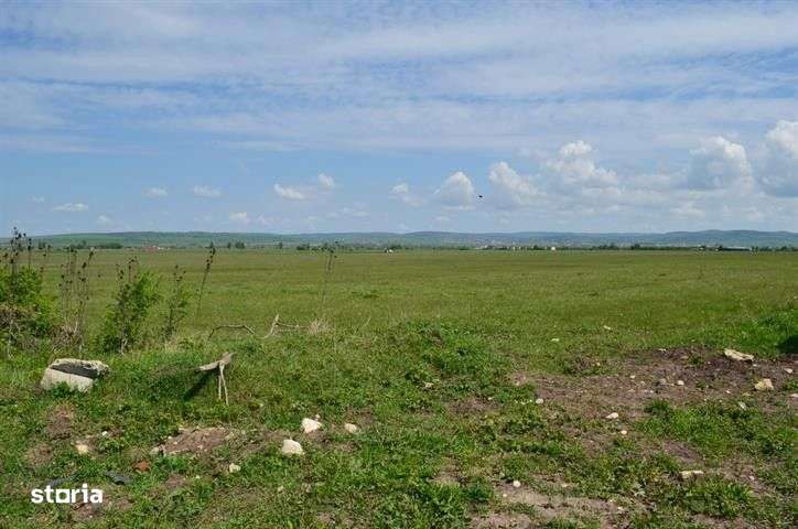 Teren intravilan industrial cu PUZ si utilitati in apropiere 6000mp zo - Imagine principală: 3/10