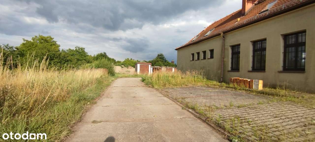 Toszek! Lokal użytkowy 64 m2! - Pełny obrazek: 4/10