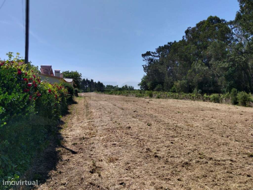 Terreno para construção de moradia - Troviscal-8