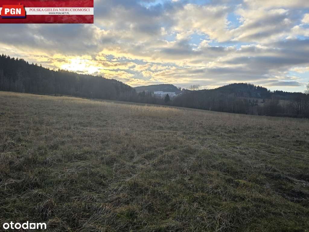 Atrakcyjna działka  budowlana w Szczytnej-3