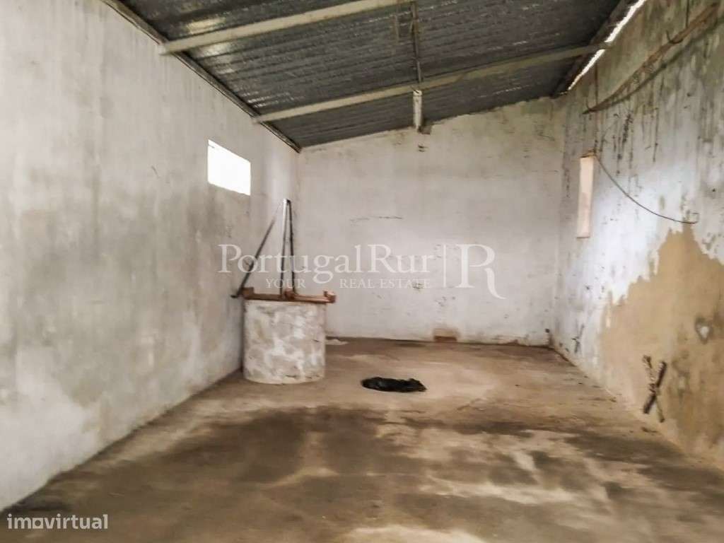 Quinta com 13.000 m² e 3 Moradias no Cartaxo, Póvoa da Isenta-22