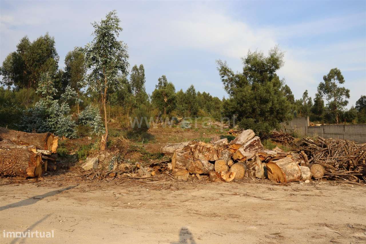 Terreno de Construção em Vilela, Paredes - Grande imagem: 4/4