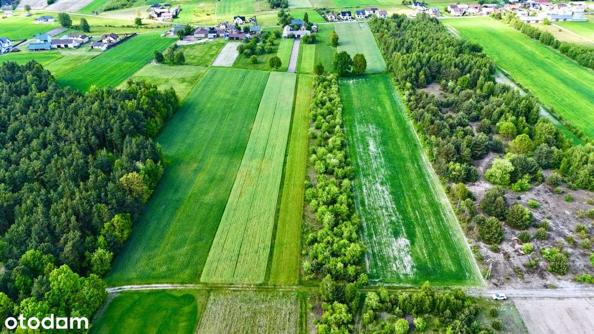 Sielsko i inwestycyjnie – 1,4 ha blisko Warszawy-7