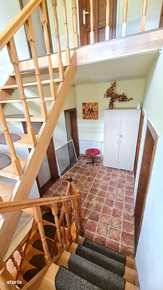 Vand vila situata pe Valea Lotrioarei-16