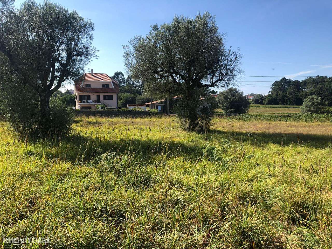 Terreno Rústico à Venda em Braga, Esposende - 110.000€ - Grande imagem: 5/13