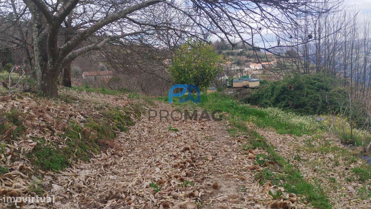 Terreno Urbanizável de 7959 m² com Armazém - Grande imagem: 3/56