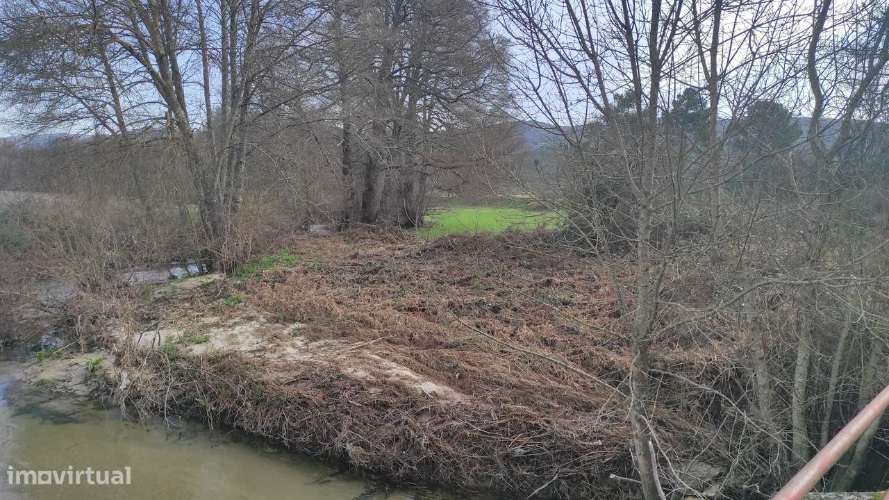 Oportunidade Exclusiva: Quinta com Alto Potencial de Valorização-6