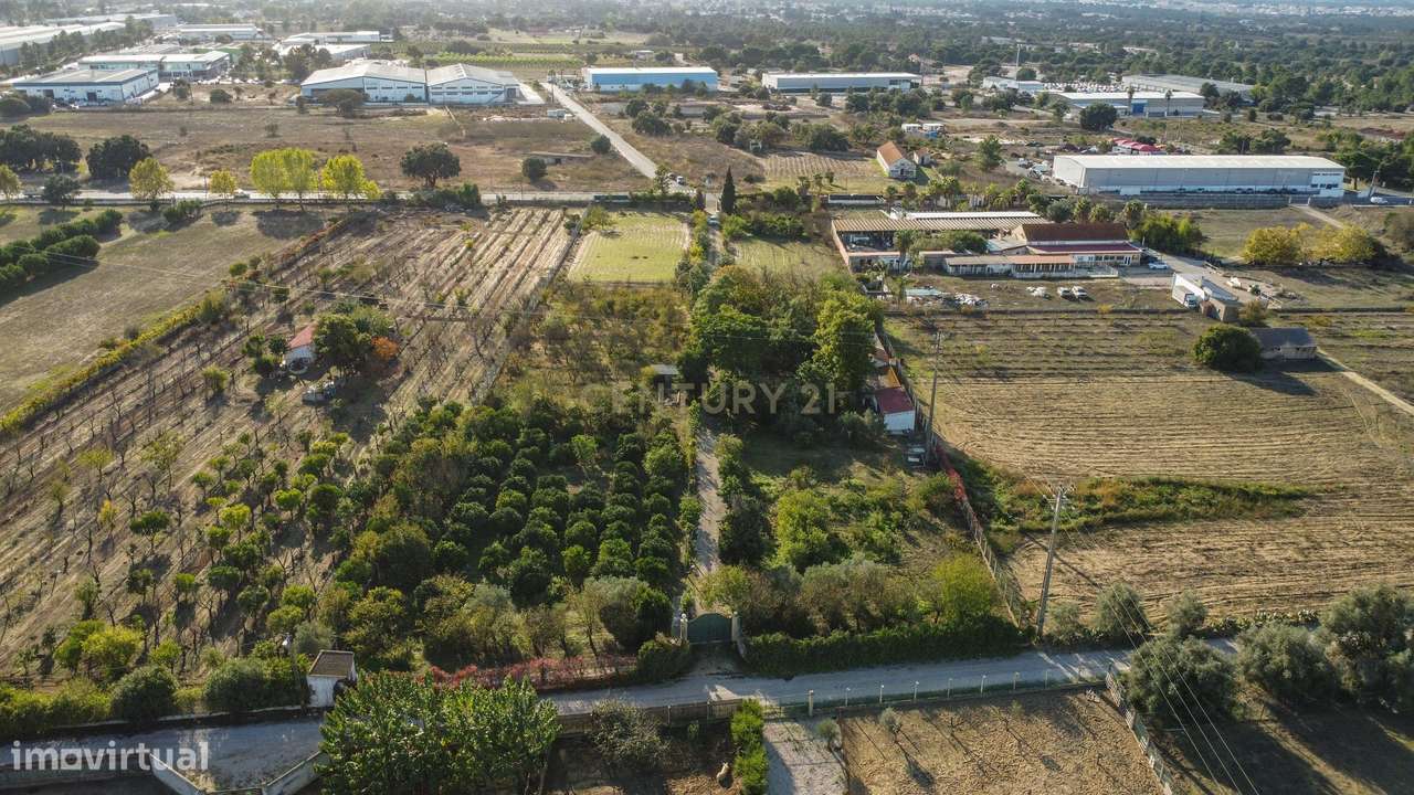 Terreno Rústico em Quinta do Anjo, Palmela - 11.800m2-14