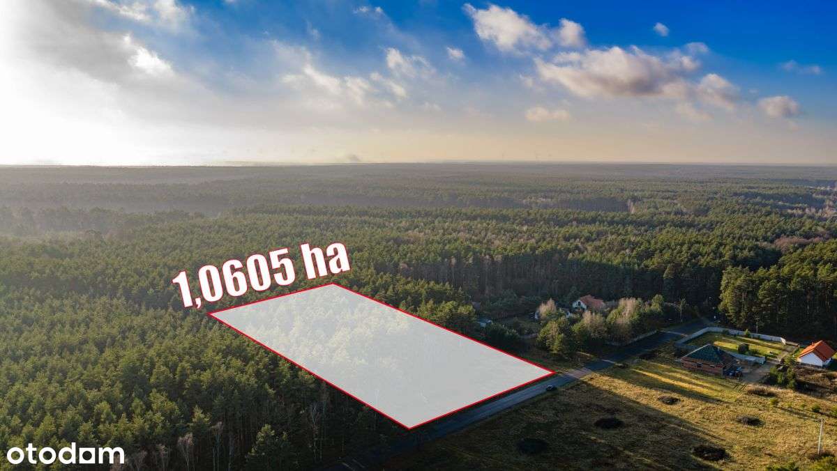 Duża Działka Budowlana Z Prywatnym Lasem-7