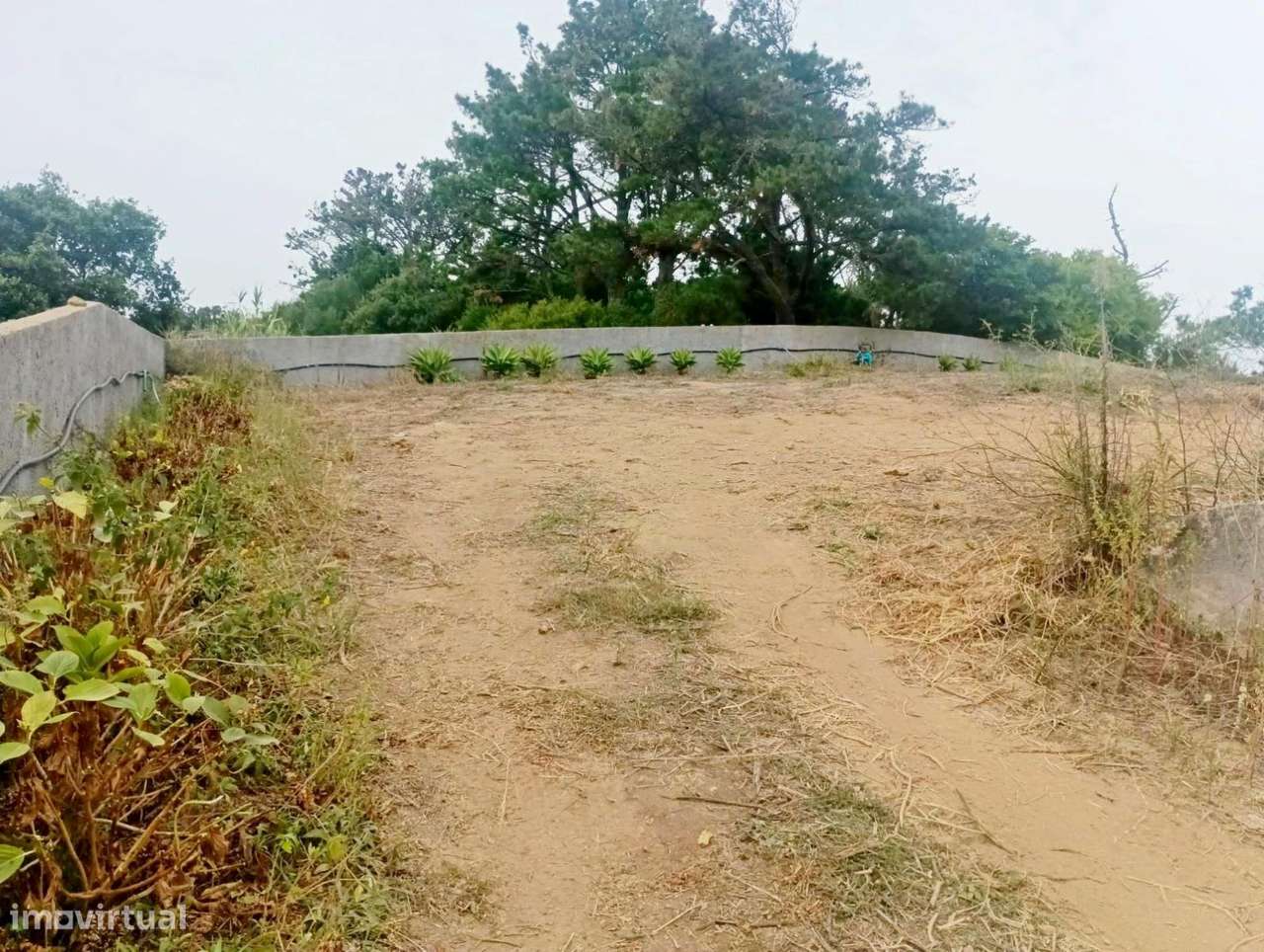 Terreno rústico, para venda, Sintra - Colares - Grande imagem: 2/4
