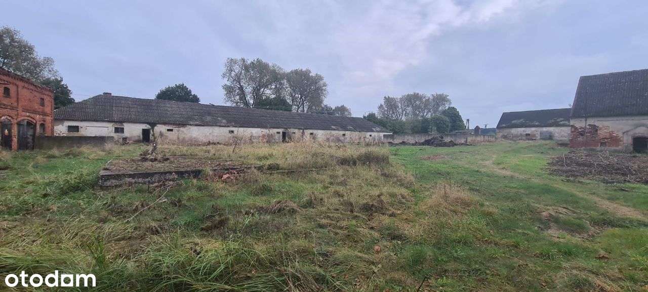 Magazyny i Budynki Plac BAZA TIR Spedycja 25 600 m²  Świecko A2  DK92 - Pełny obrazek: 5/18