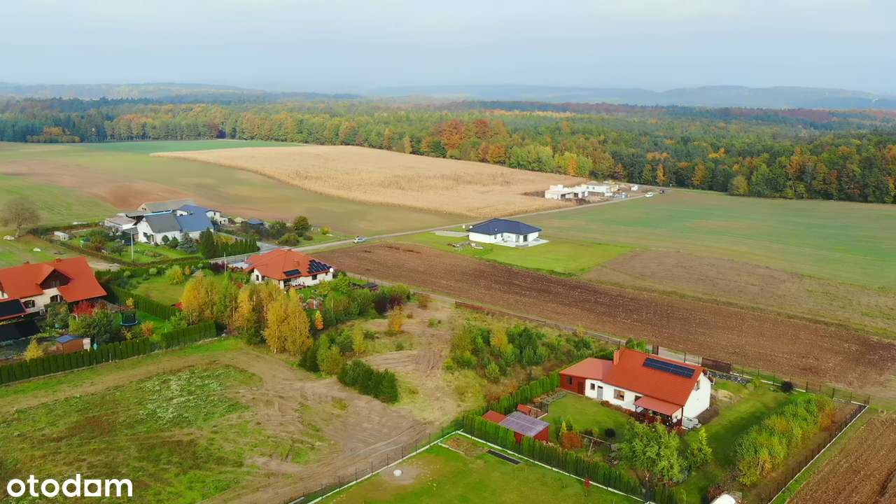 Małgorzatka. Piękna działka w pobliżu Jeziora Bachotek-19