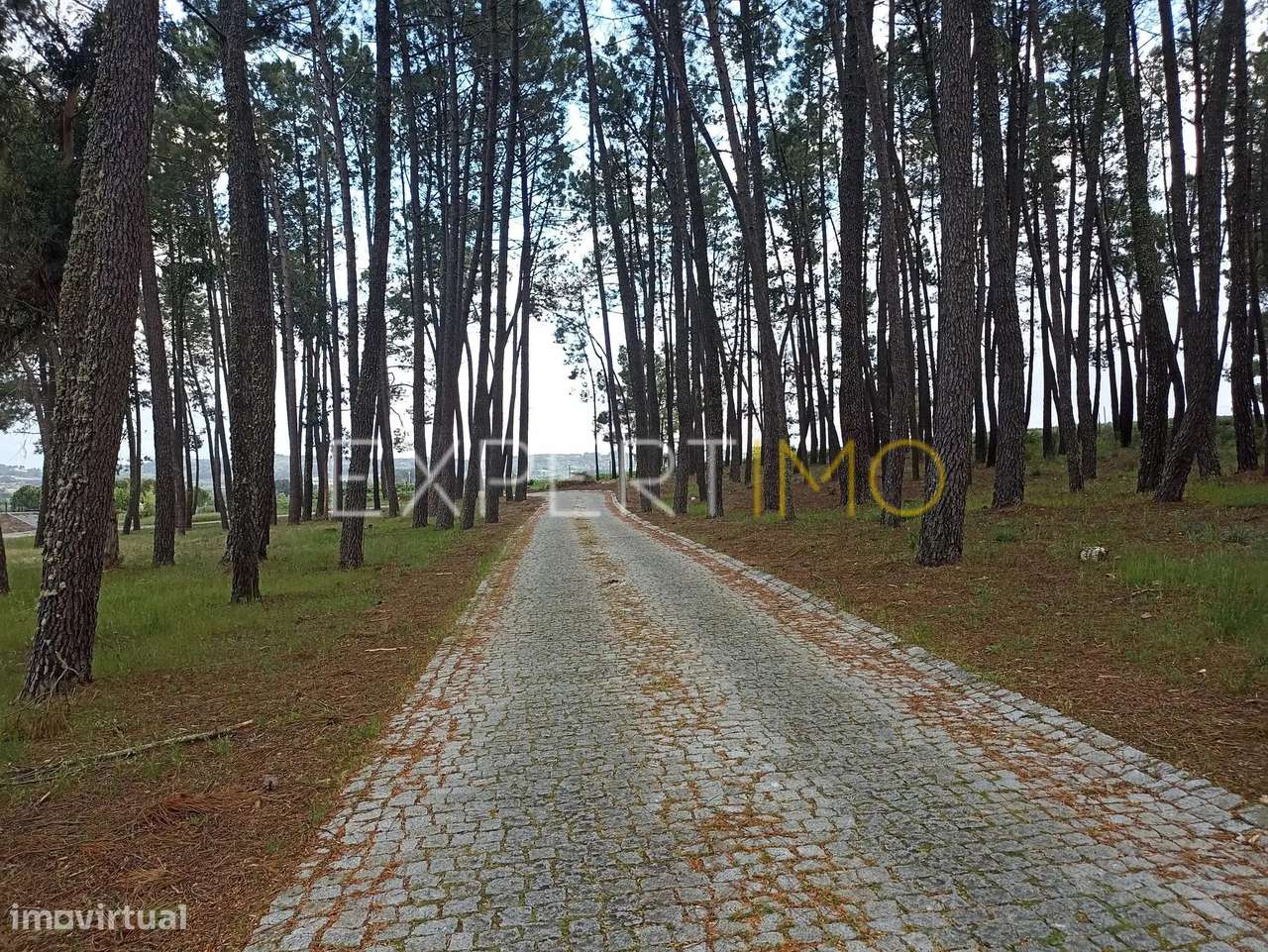 Moradia inserida em quinta rural, licenciada para turismo... - Grande imagem: 2/54