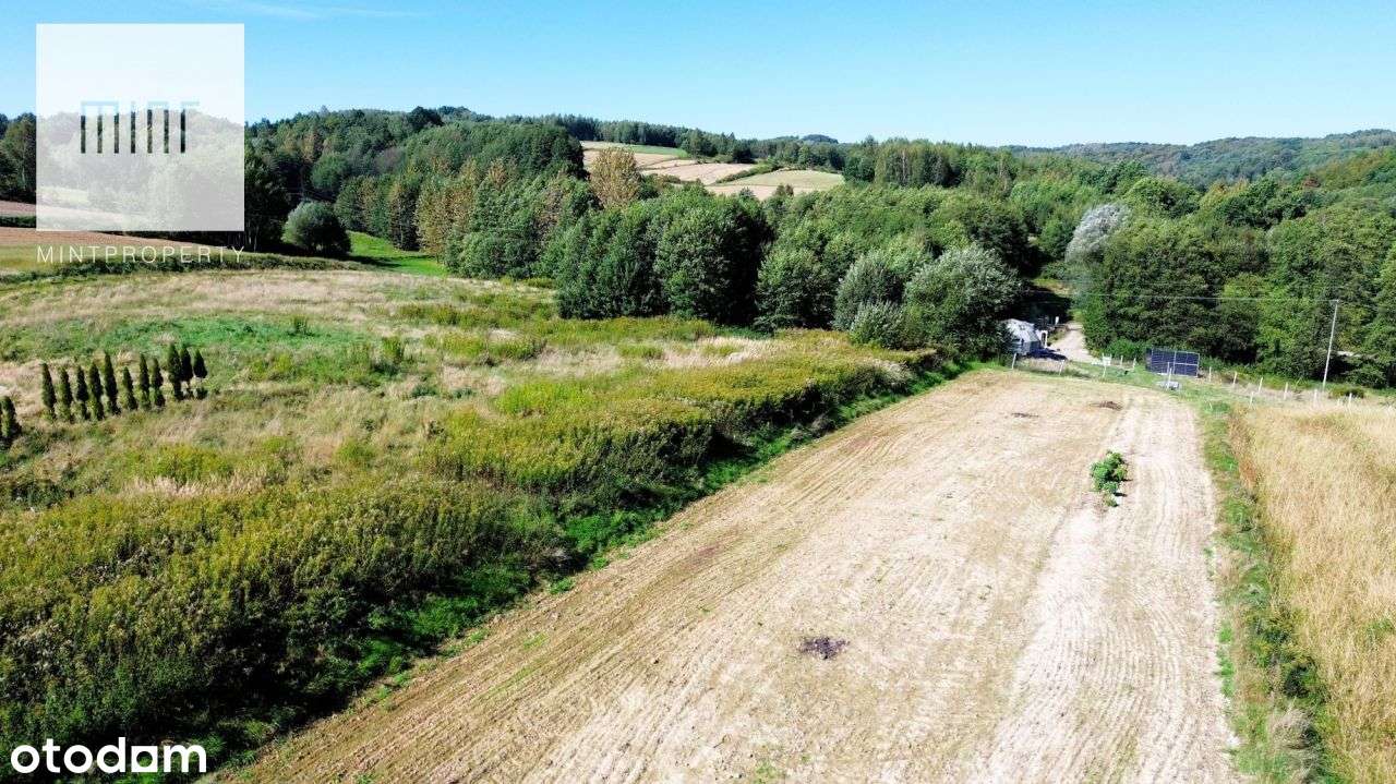 Działki na sprzedaż, Niedźwiada - Pełny obrazek: 5/7