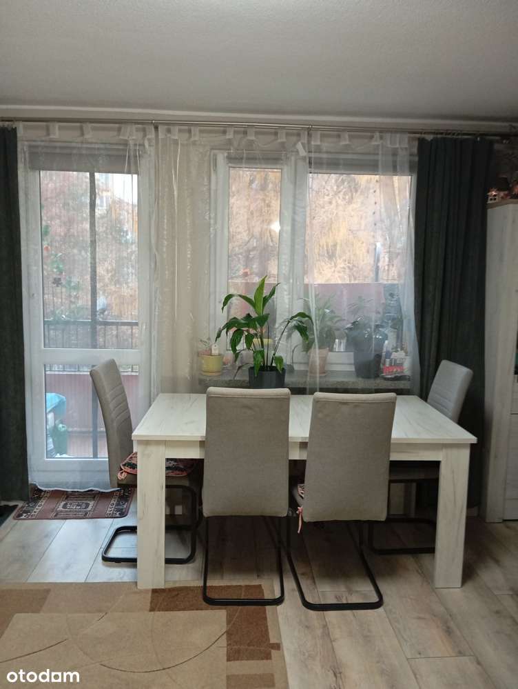 Mieszkanie  2 pokoje umeblowane do zamieszkania ul, Niepodległości - Pełny obrazek: 5/13