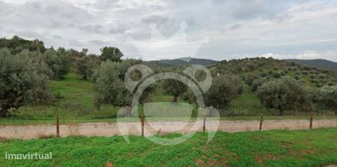 Terreno Rústico em Portel com 5.897 m² – Excelente Oportunidade!  - Grande imagem: 5/7